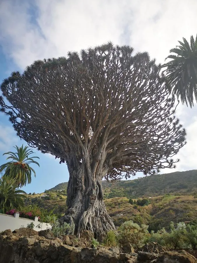 Сasa de vacaciones Casita Canaria Santa Cruz de Tenerife